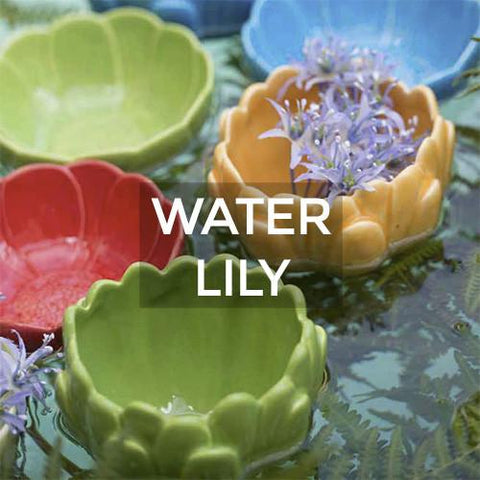 Bordallo Pinheiro: Water Lily