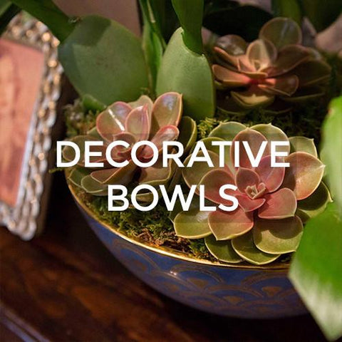 Home Decor: Decorative Bowls by L&#39;Objet