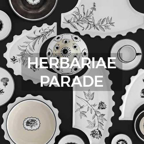 Vista Alegre: Herbariae Parade by Christian LaCroix