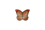 Cloudy Butterflies Bread & Butter Plate by Claudia Schiffer for Bordallo Pinheiro