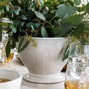 Juliska Blenheim Oak Whitewash Cachepot, 9" with plant