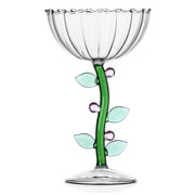 Ichendorf Milano Botanica: Optical Champagne Coupe Glass Bowl, 9.5 oz Pink