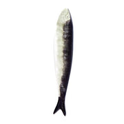 Bordallo Majolica Sardine by Bordallo Pinheiro Home Accents Bordallo Pinheiro