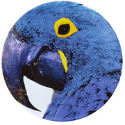 Olhar O Brasil Charger Plate by Chico Gouvea for Vista Alegre Dinnerware Vista Alegre Guaruba