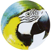 Olhar O Brasil Charger Plate by Chico Gouvea for Vista Alegre Dinnerware Vista Alegre Yellow Bellied Macaw