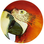 Olhar O Brasil Charger Plate by Chico Gouvea for Vista Alegre Dinnerware Vista Alegre Red Macaw