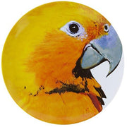 Olhar O Brasil Charger Plate by Chico Gouvea for Vista Alegre Dinnerware Vista Alegre
