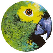 Olhar O Brasil Charger Plate by Chico Gouvea for Vista Alegre Dinnerware Vista Alegre Parrot