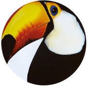 Olhar O Brasil Charger Plate by Chico Gouvea for Vista Alegre Dinnerware Vista Alegre Toucan