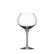 More 7 oz. Spirits or Whisky Glass, Set of 4 by Orrefors Glassware Orrefors 