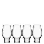 Beer 15 oz. IPA Glasses, Set of 4 by Orrefors Glassware Orrefors 