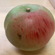 Apples Italian Carrara Marble Stone Fruit Artificial Food Amusespot Macintosh Large 