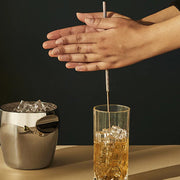 The Tending Box Stainless Steel Baton Lele Stirrer by Alessi Mixer Alessi