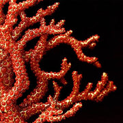 Coral Centerpiece by L'Objet Centerpiece L'Objet 