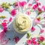 Mimosa Blossom Dream Cream by Super Salve Co. Body Lotion Super Salve Co. 1.75 oz. plastic 