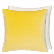 Varese 17" x 17" Square Velvet Throw Pillow by Designers Guild Throw Pillows Designers Guild Alchemilla & Parchment 