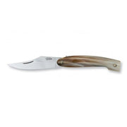 No. 16 Vernantino Italian Regional Pocket Knife with Ox Horn Handle by Berti Knife Berti