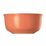 Nature Cereal Bowl by Thomas Dinnerware Rosenthal Coral 