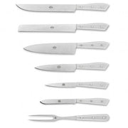 Compendio Kitchen Knives with Grey Blades and Lucite Handles, Set of 7 by Berti Knive Set Berti