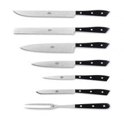 Compendio Kitchen Knives with Grey Blades and Lucite Handles, Set of 7 by Berti Knive Set Berti