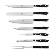 Compendio Kitchen Knives with Grey Blades and Lucite Handles, Set of 7 by Berti Knive Set Berti 