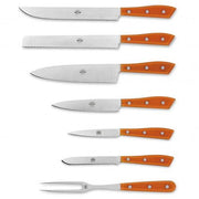 Compendio Kitchen Knives with Grey Blades and Lucite Handles, Set of 7 by Berti Knive Set Berti