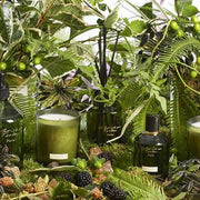 Forêts 3.4 oz Room Spray by Christian Tortu Room Spray Christian Tortu