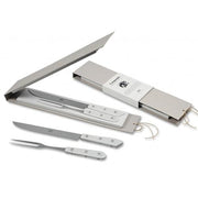 Compendio Carving Sets with Polished Blades and Lucite Handles by Berti Carving Set Berti 