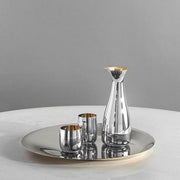 Tray or Dish by Sir Norman Foster for Stelton Tray Stelton 