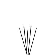 Legni & Co Wood Scented Room Diffuser by Laboratorio Olfattivo Home Diffusers Laboratorio Olfattivo Refill Sticks for 200 ml 
