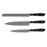 Compendio Kitchen Knives with Grey Blades and Lucite Handles, Set of 3 by Berti Knive Set Berti 