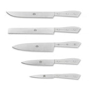Compendio Kitchen Knives with Polished Blades and Lucite Handles, Set of 5 by Berti Knive Set Berti