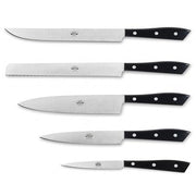 Compendio Kitchen Knives with Polished Blades and Lucite Handles, Set of 5 by Berti Knive Set Berti 