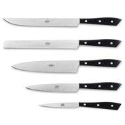 Compendio Kitchen Knives with Polished Blades and Lucite Handles, Set of 5 by Berti Knive Set Berti