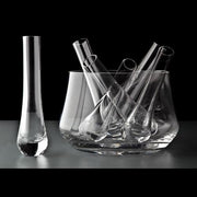 Nice on Ice Vodka Set by Katherine Krizek for Covo Italy Covo Italy