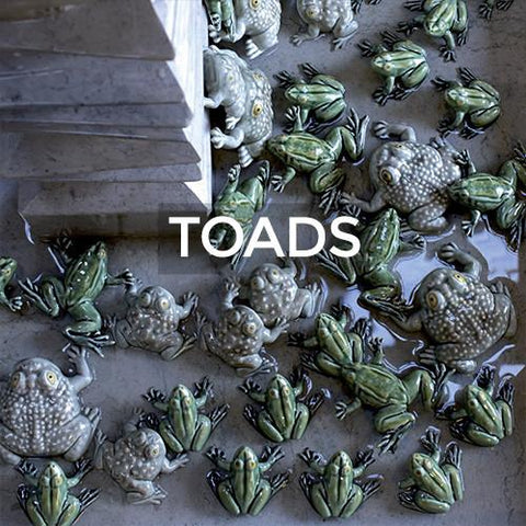 Bordallo Pinheiro: Toads