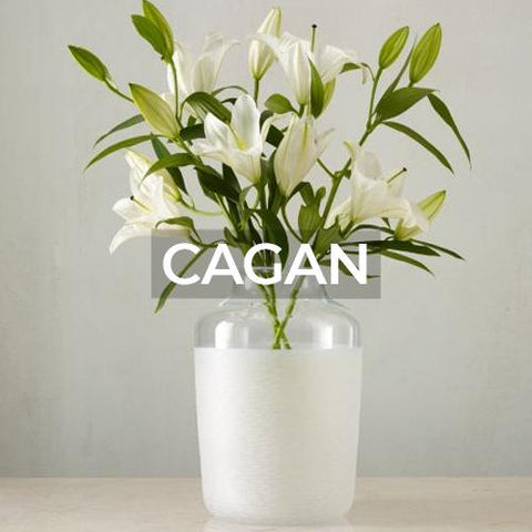 Ralph Lauren: Home Decor: Cagan Collection