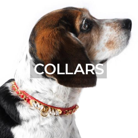 Olivia Riegel: Pet Accessories: Collars