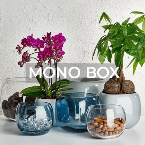 Nude: Home Decor: Mono Box