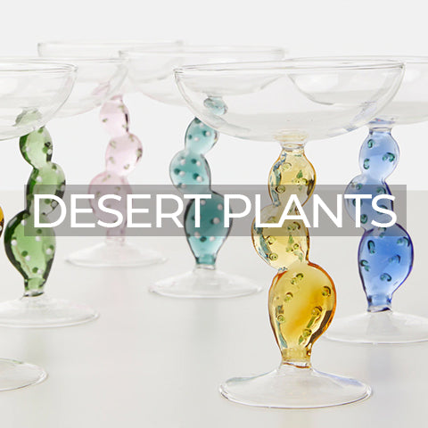 Ichendorf Milano: Desert Plants Collection