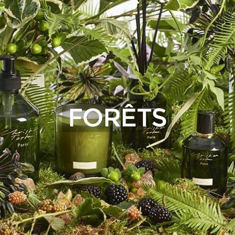 Christian Tortu: Forêts