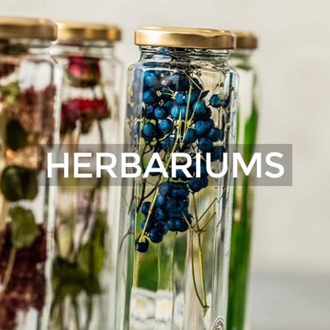 Ballon: Herbariums
