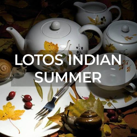 Nymphenburg Dinnerware: Lotos Indian Summer