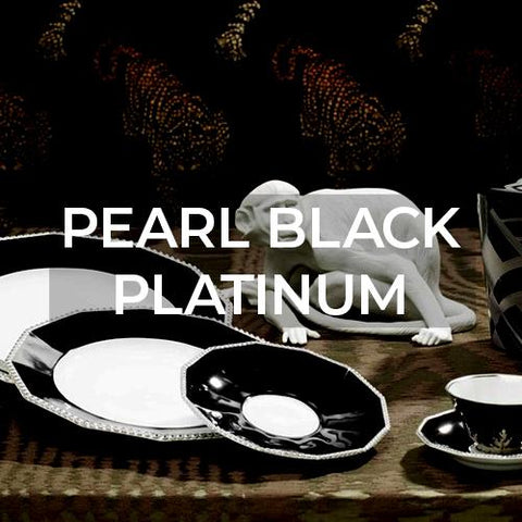 Nymphenburg Dinnerware: Pearl Black Platinum