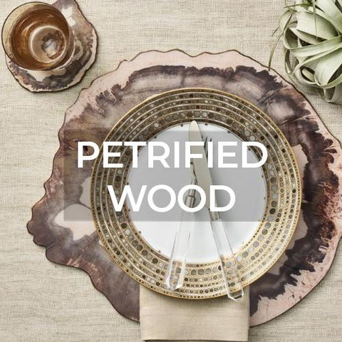 Petrified Wood Collection by Kim Seybert