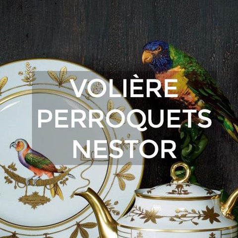 Richard Ginori: Volière Perroquets Nestor