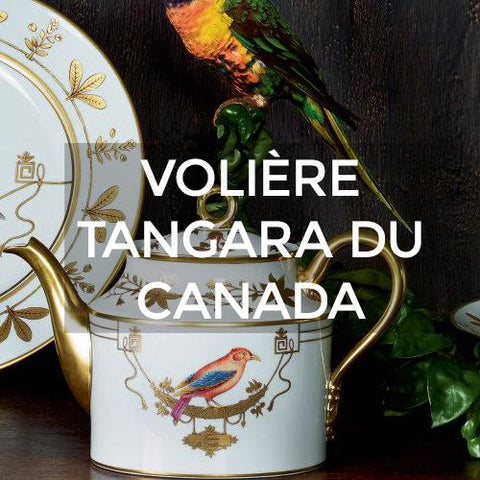 Richard Ginori: Volière Tangara Du Canada