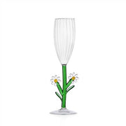 Ichendorf Milano Botanica Daisy Optic Champagne Flute, 5.4 oz.