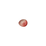 Bloom Scarlet Dip Dish, 3" by Rosenthal