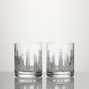 US250 Double Old Fashioned Glasses, Set of 2, 11.5 oz. by Waterford